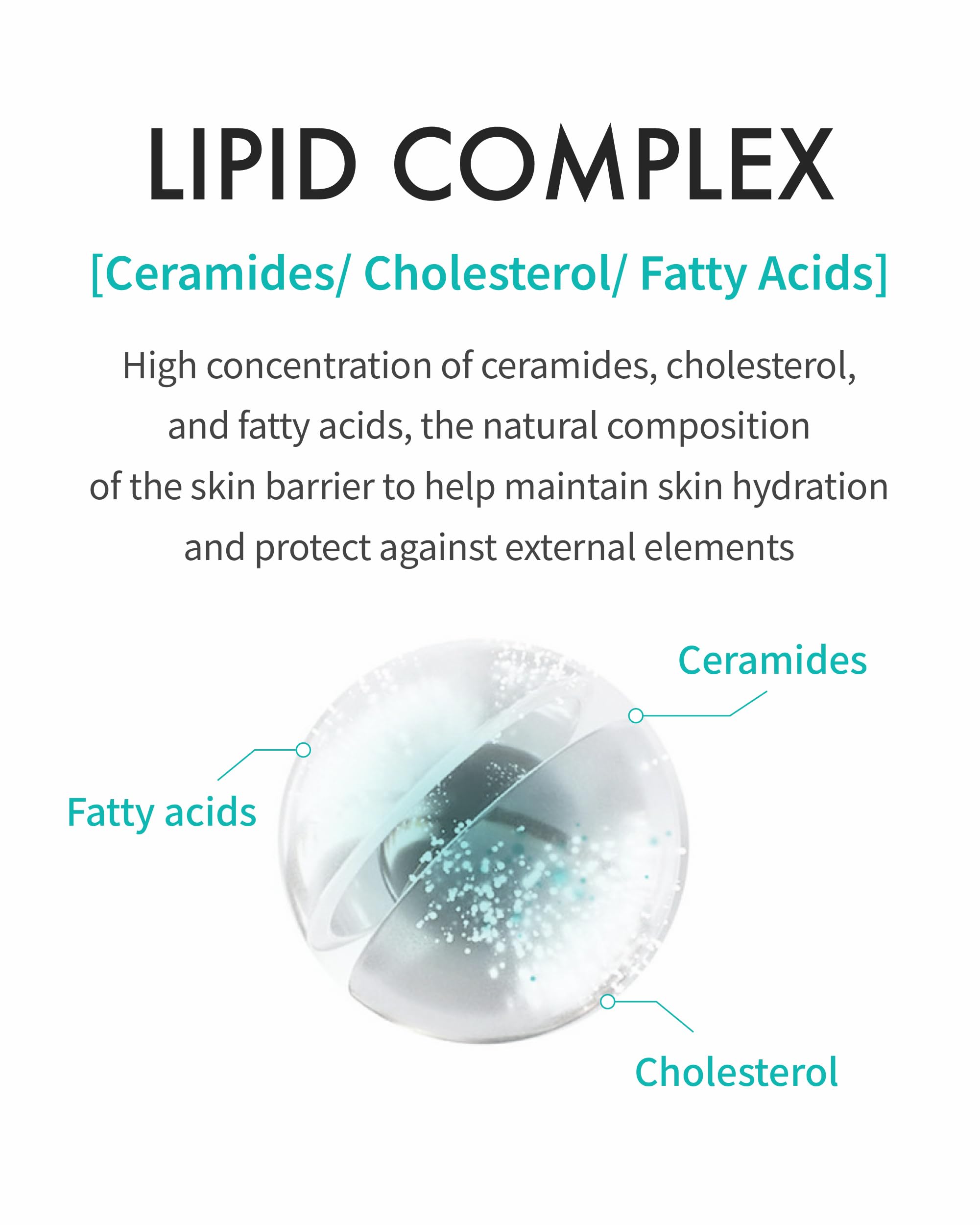 REJURAN Moisture Cream ingredients list underscores ceramides and PDRx components