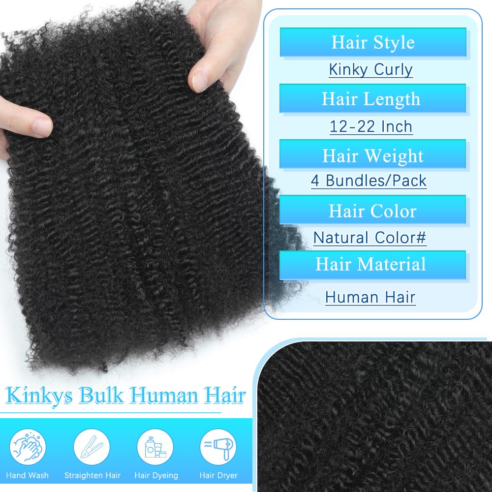 Renyarch Afro Kinky Bulk Hair closeup highlights soft touch and blendable color.