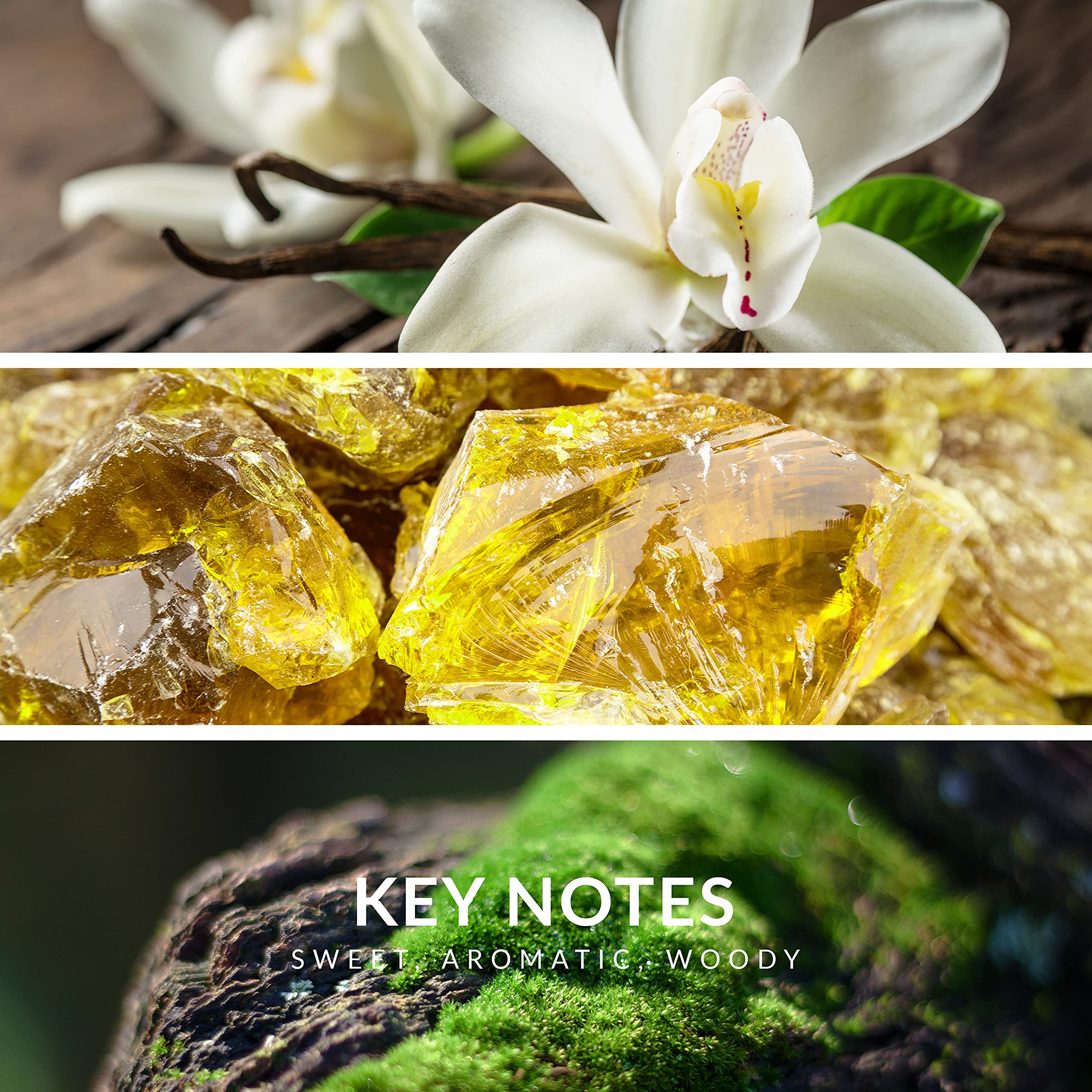 Reyane Tradition Insurrection Classique vanilla top close-up highlights inviting, comforting aroma.