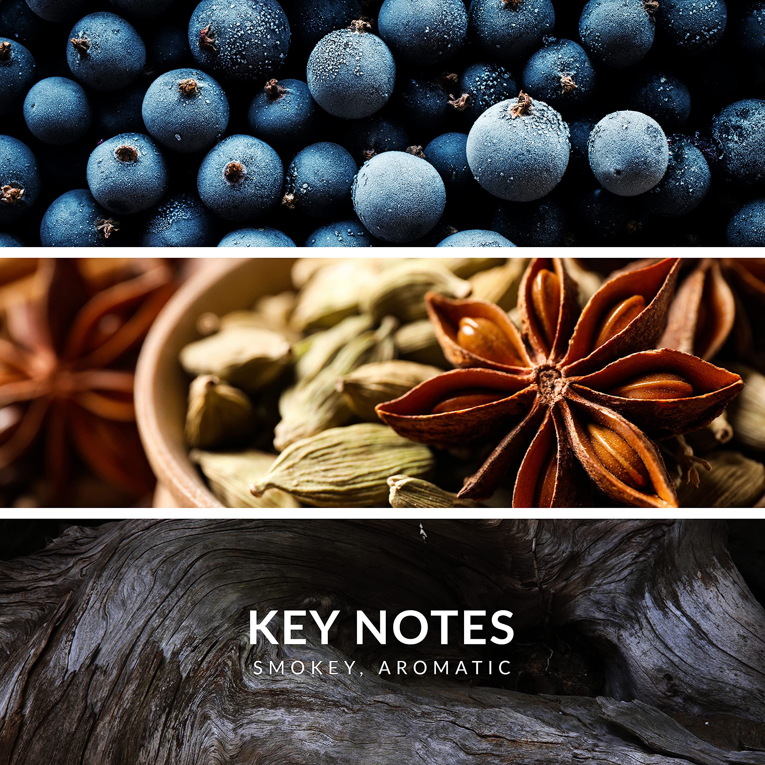 Reyane Tradition Insurrection Extreme base-notes image highlights Amber and Musk lasting impression.