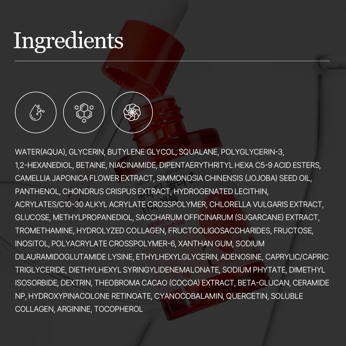 ROUND LAB Camellia Deep Collagen Ampoule with Jeju Camellia extract supports elasticity and glow.