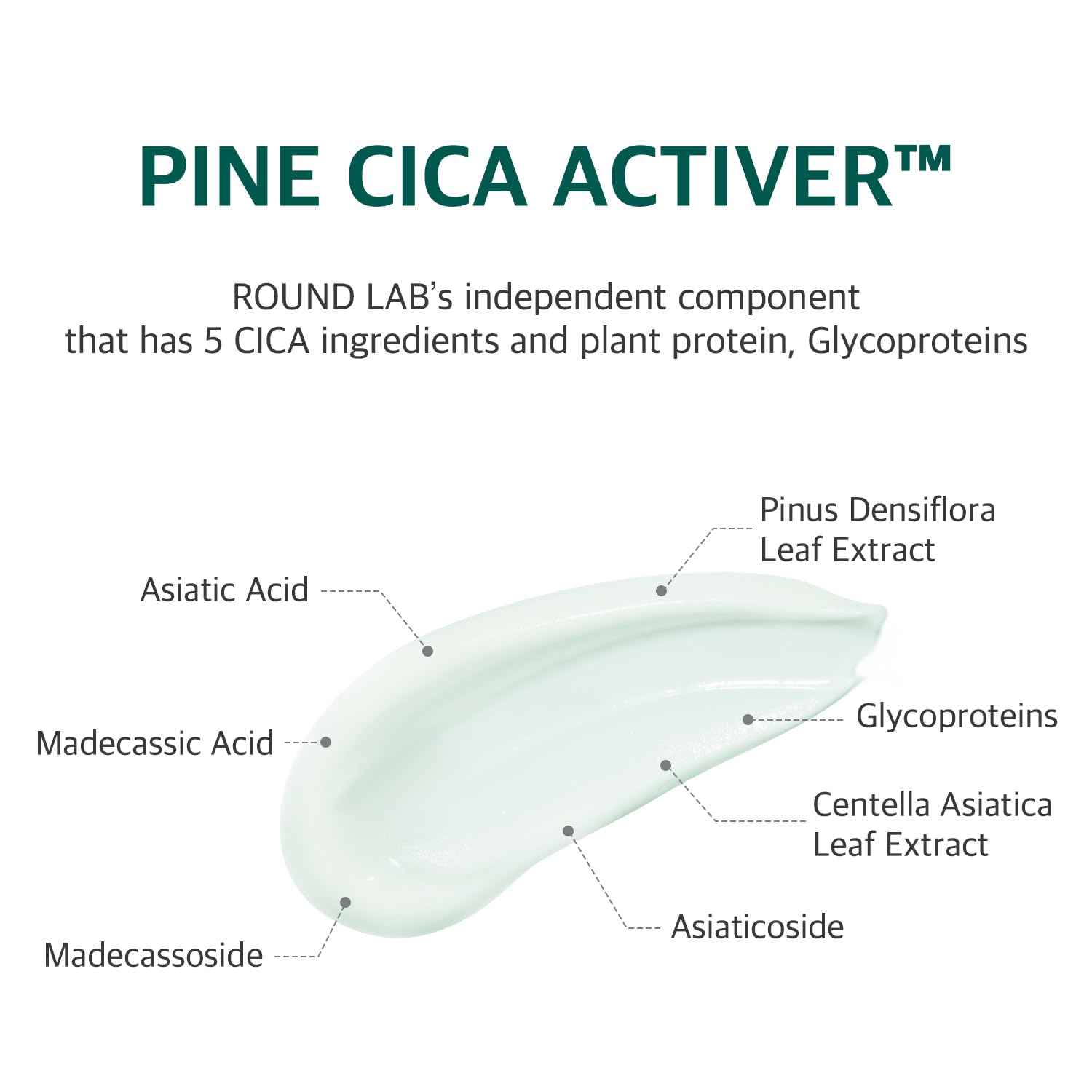 ROUND LAB Pine Calming Cica Activ ingredients close-up emphasizes soothing botanicals