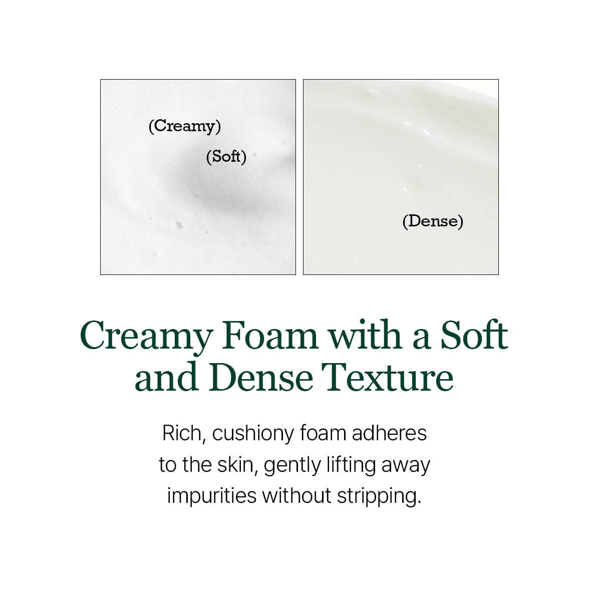 ROUND LAB Pine Calming Cica Cleanser skin closeup, suggesting calm, hydrated skin after wash.