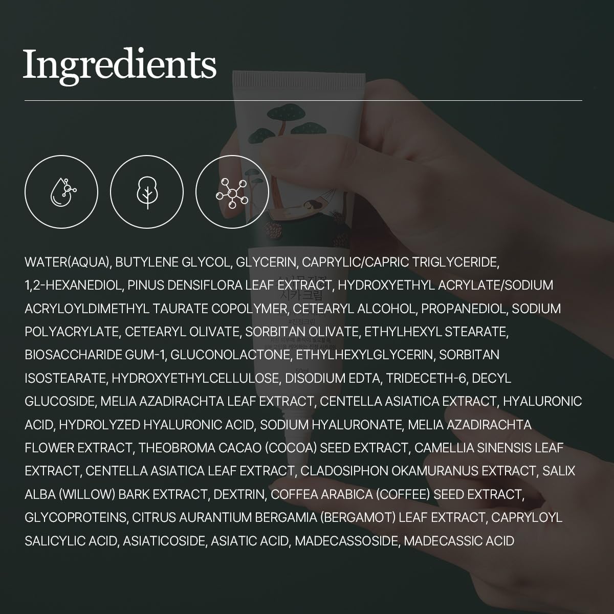 ROUND LAB Pine Calming Cica Cream sebum-control close-up shows refined pores