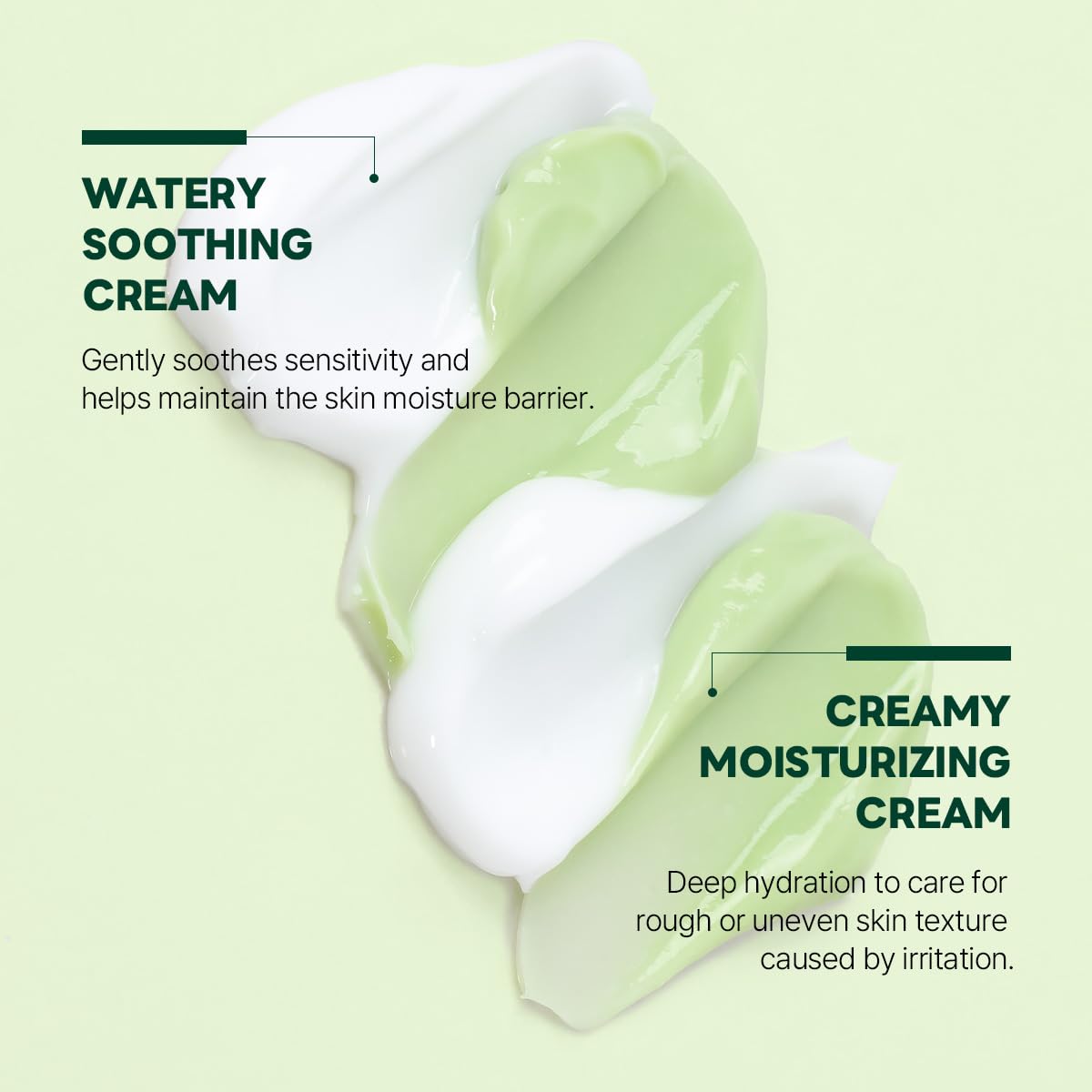 ROUND LAB Pine Cica Calming Cream Plus closeup dual-texture application—quick absorption