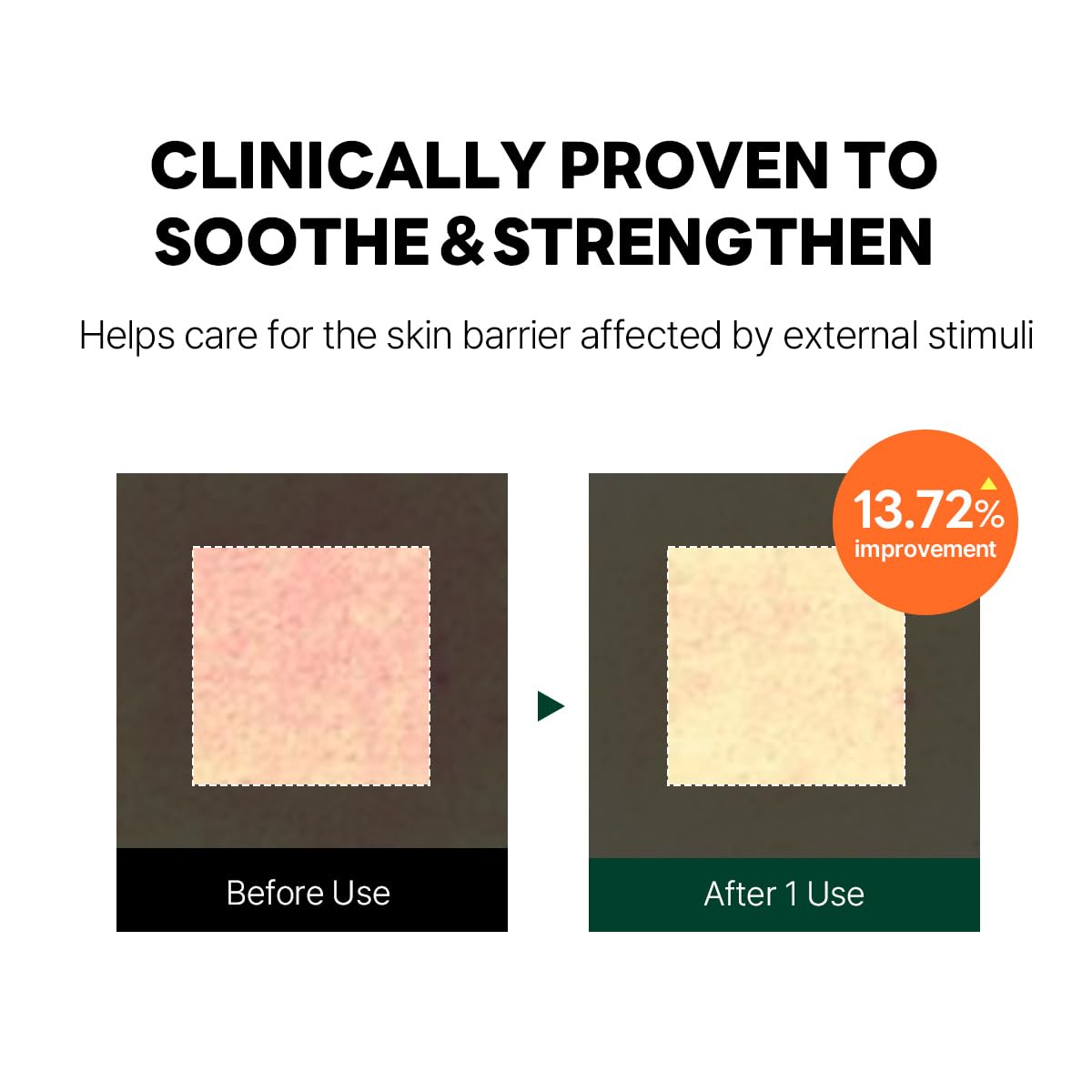 ROUND LAB Pine Cica Calming Cream Plus hyaluronic-acid blend—multi-layer hydration