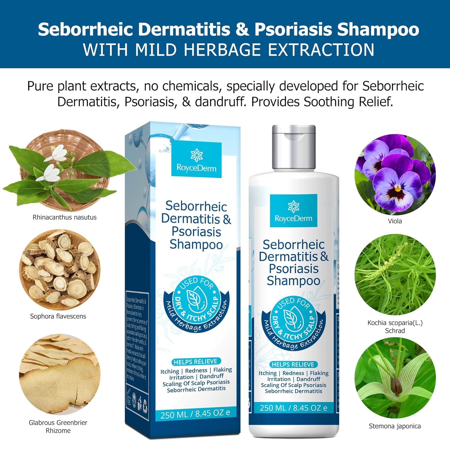 Roycederm Folliculitis Shampoo application helps calm redness during wash