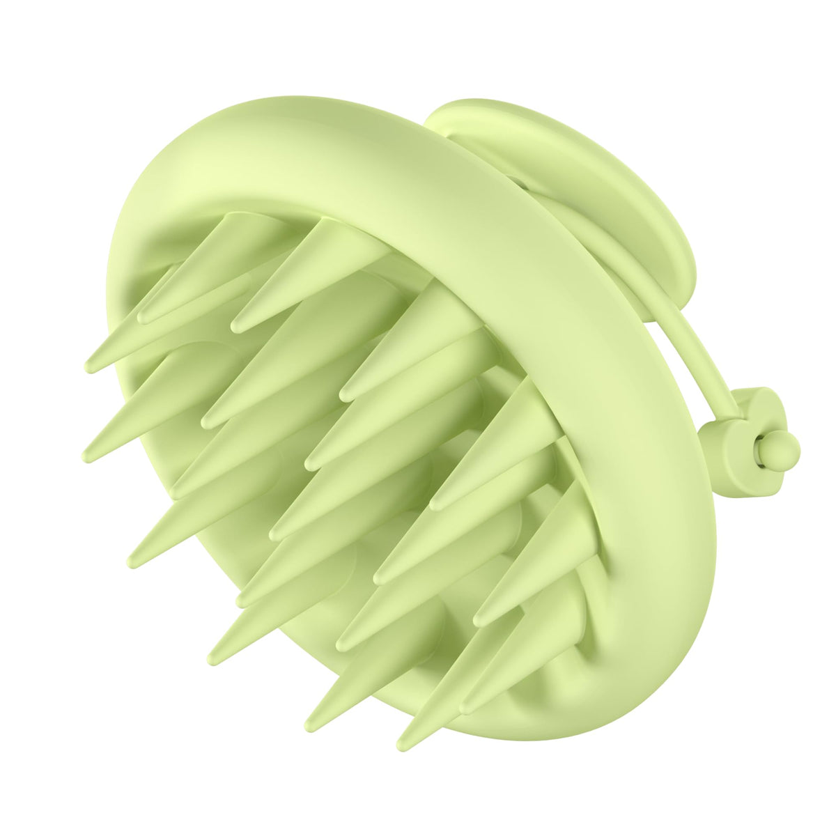Roycederm brush front view showing compact design and easy storage benefit