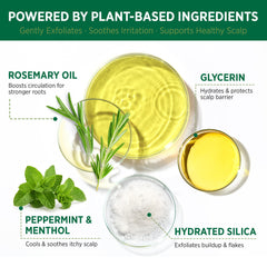 RoyceDerm Rosemary Mint Scrub ingredients showcase rosemary and peppermint for refreshing scalp care.