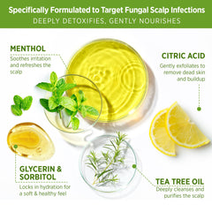 Roycederm Tea Tree Scalp Scrub tea tree oil focus signals detoxifying cleanse before shampoo.