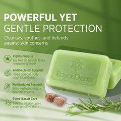 Roycederm Tea Tree Soap bar closeup with tea tree oil for refreshing antifungal-inspired care.