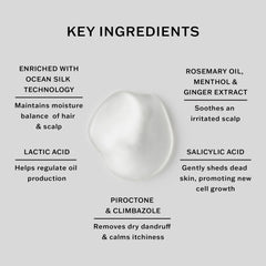 SACHAJUAN ingredients label features piroctone olamine and climbazole for scalp care