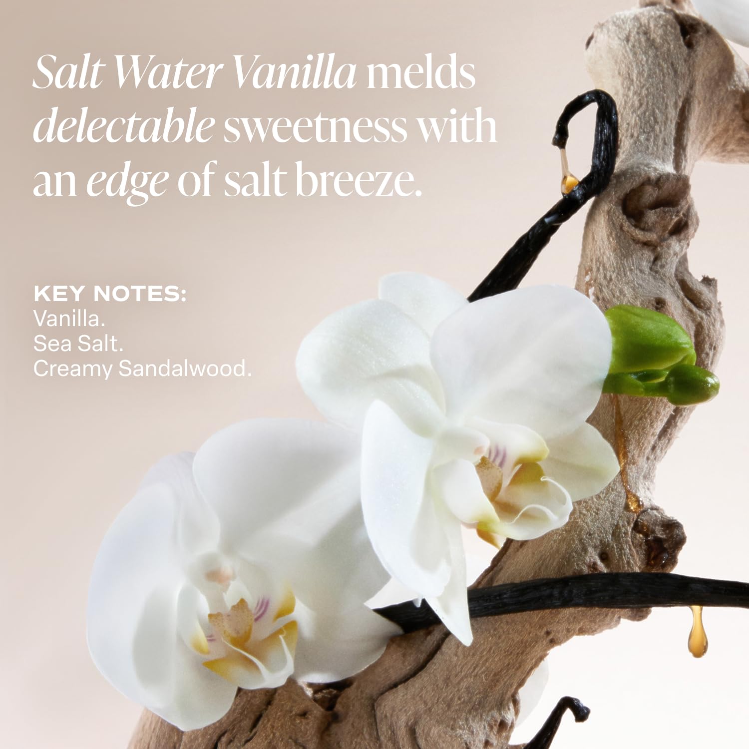 Saltair Body Lotion fast-absorbing formula delivers hydration without greasiness.