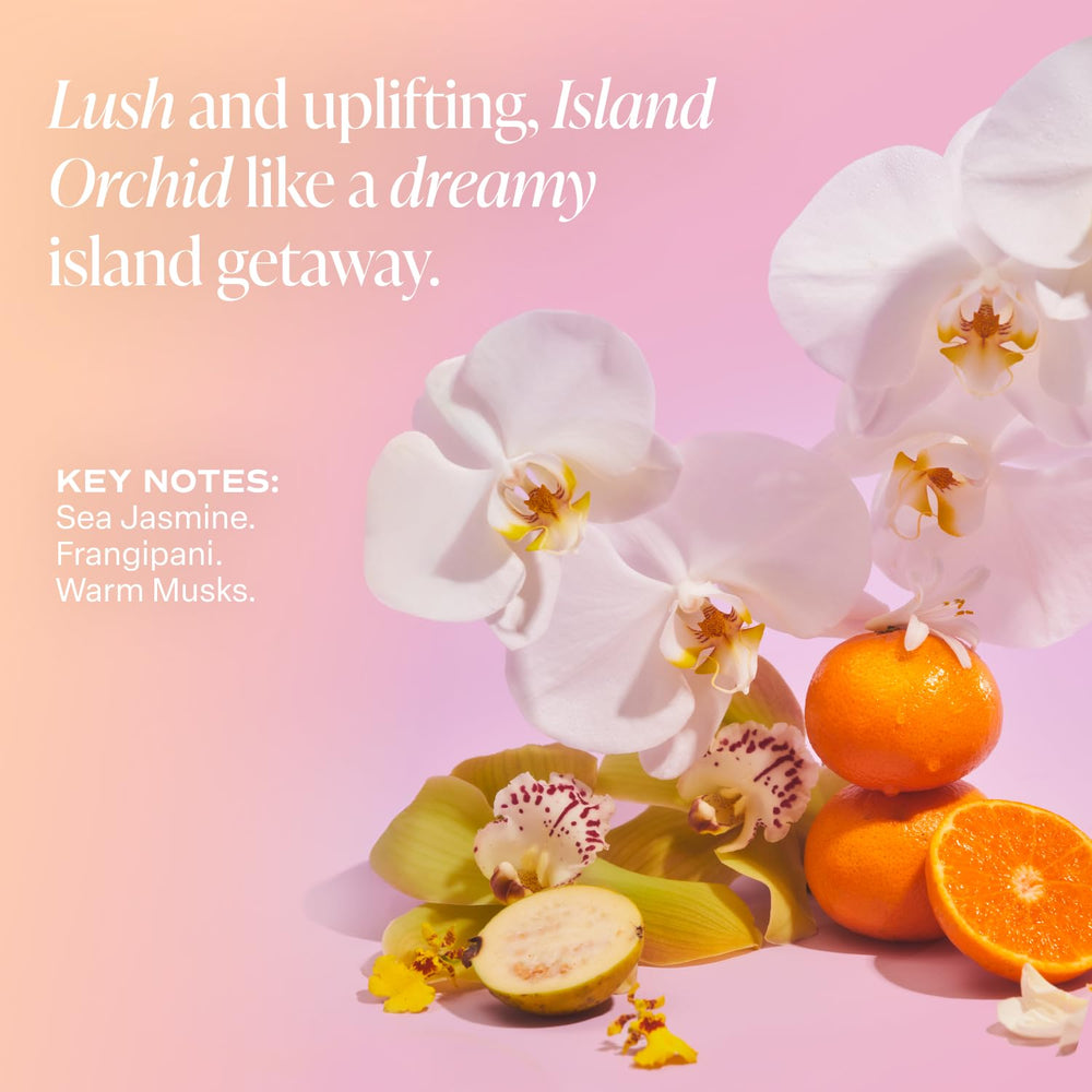 Saltair Island Orchid Lotion pair of tubs on surface demonstrates value and universal skin care.