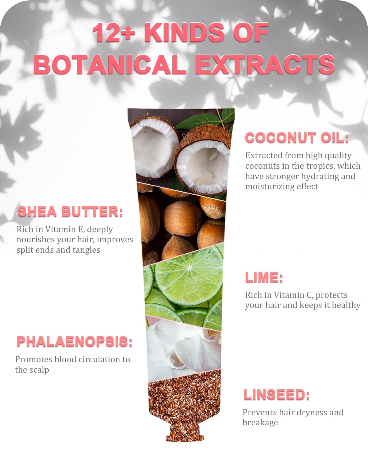 Samnyte plant-based ingredients graphic highlights root-to-tip nourishment