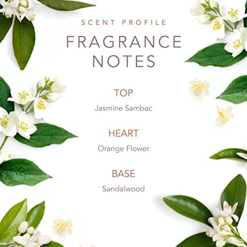 SCENT BEAUTY Early Morning Breeze packaging box, ready for gifting.