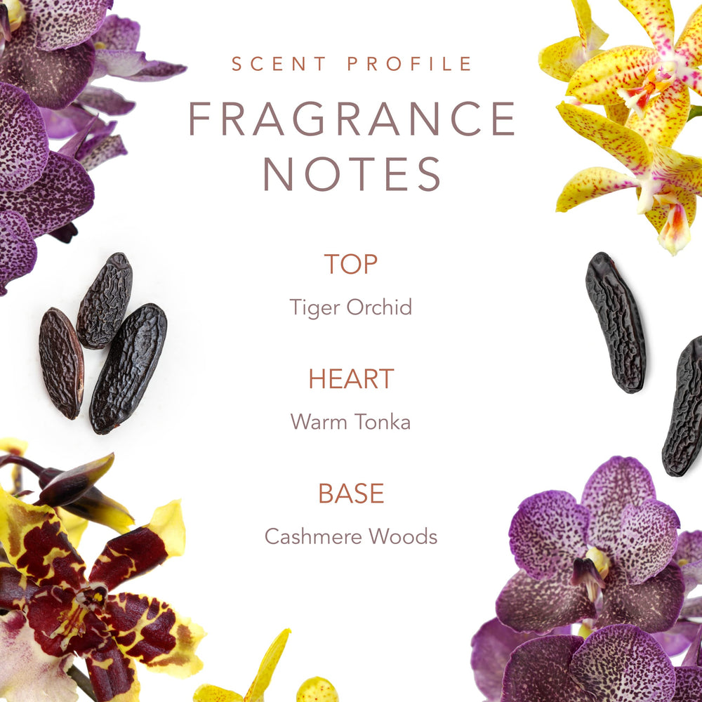 SCENT BEAUTY Smoky Mountain gift box image conveys ready-to-gift luxury