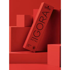 Schwarzkopf Igora Royal 6-1 Dark Blonde Cendre finished hair shows vibrant, long-lasting color.
