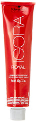 Schwarzkopf Igora Royal developer 60ml measure highlights controlled mixing for consistent results