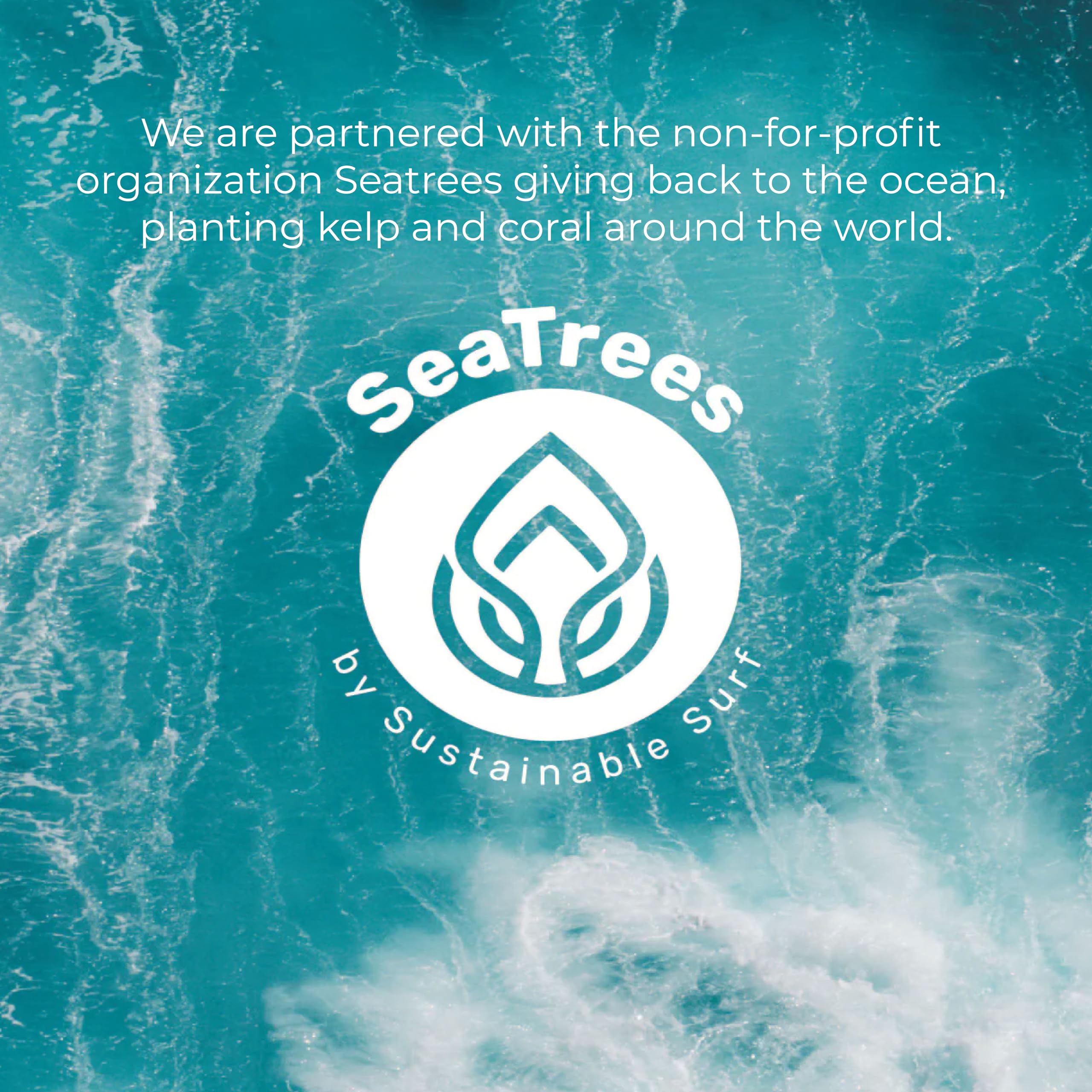 Sea-El Lamina Day Cream daily application supports softness.