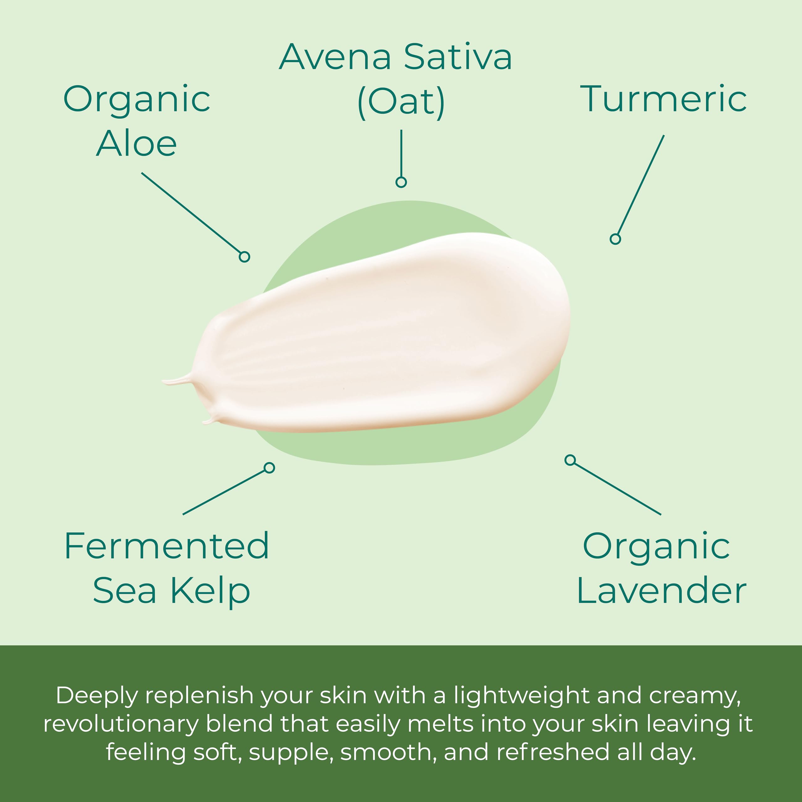 Sea-El Lamina Day Cream with coconut oil aloe avocado for nourishment.