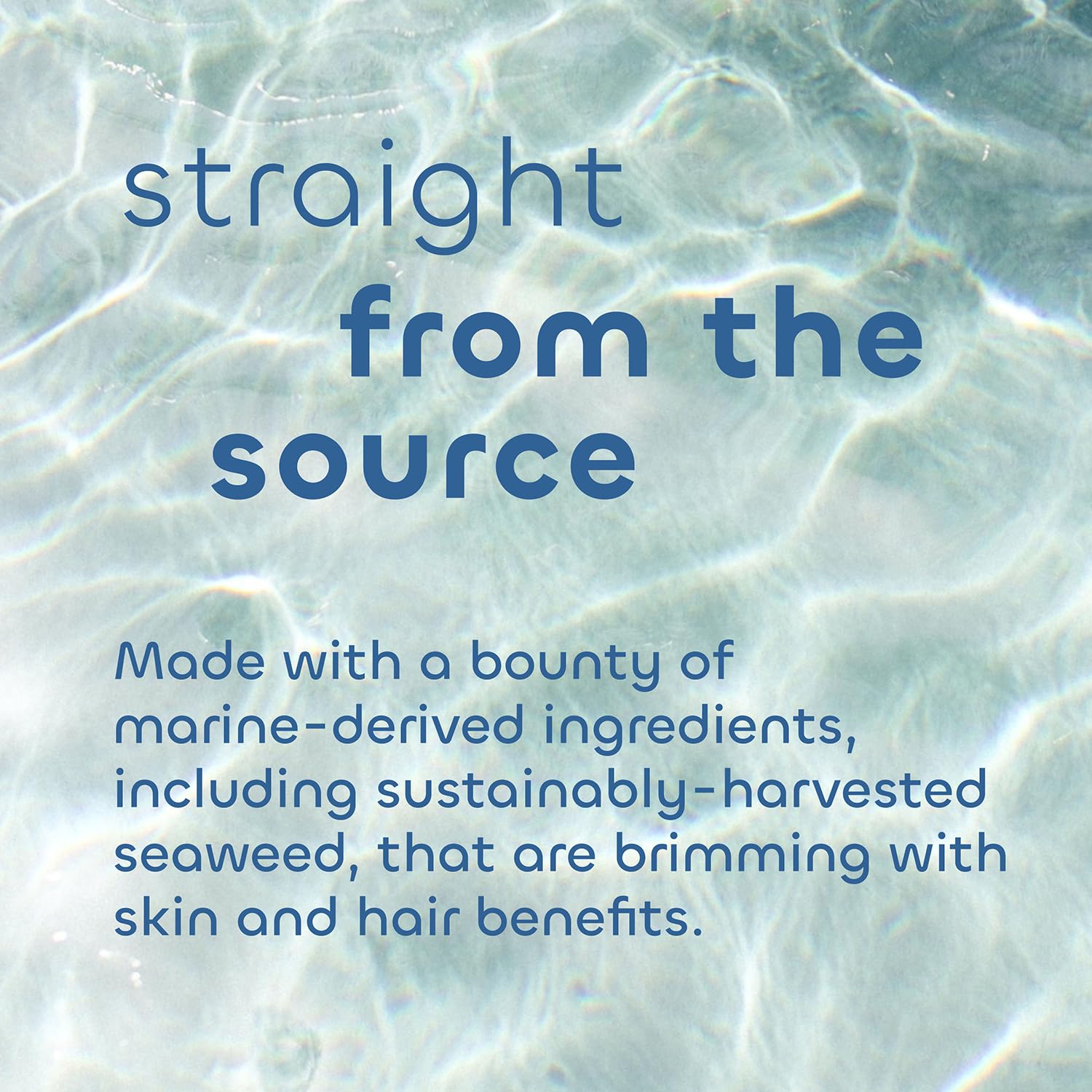 Seaweed Bath Co. Detox Body Scrub French sea clay image highlighting minerals