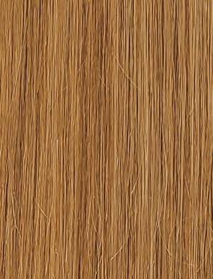 Sensationnel X-PRESSION Honey Blonde 27 color enhances warm protective styles