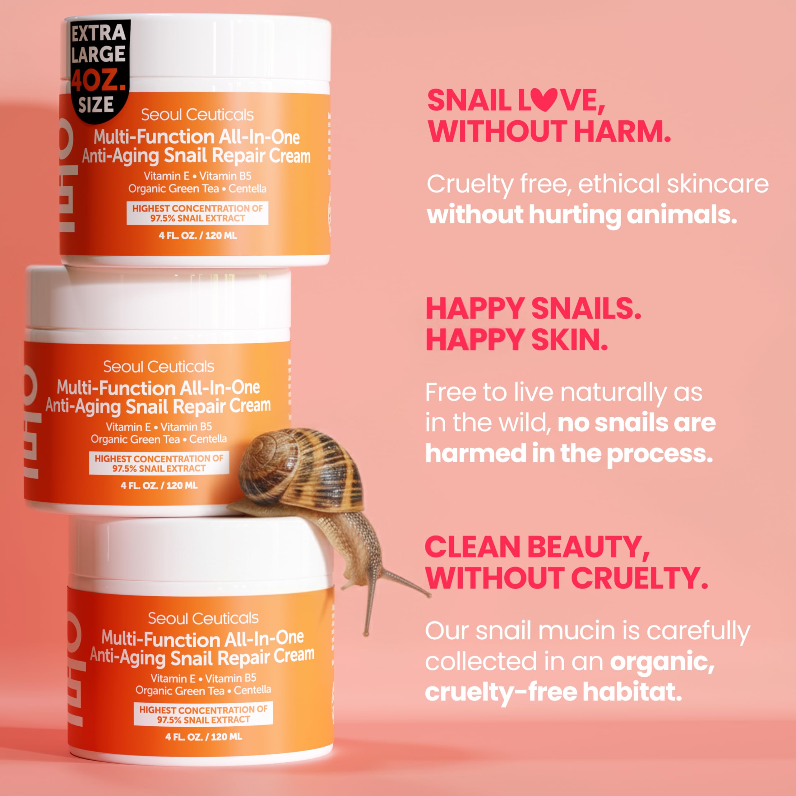 SeoulCeuticals day-night routine scene highlights versatile skincare for any time.