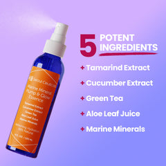 SeoulCeuticals essence toner cucumber extract focus for soothing complexion