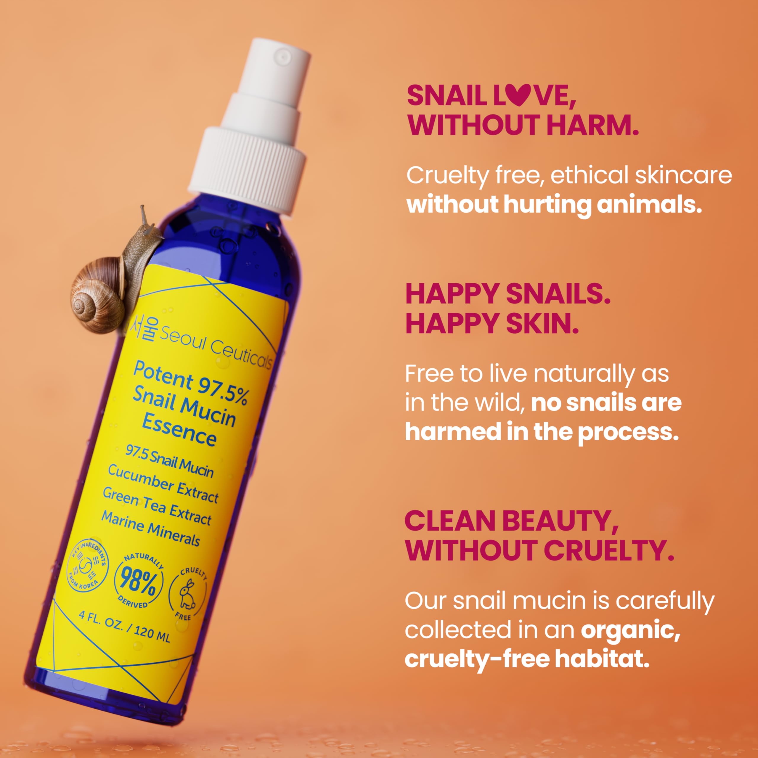 SeoulCeuticals green tea bottle evokes antioxidant-rich hydration for refreshed skin