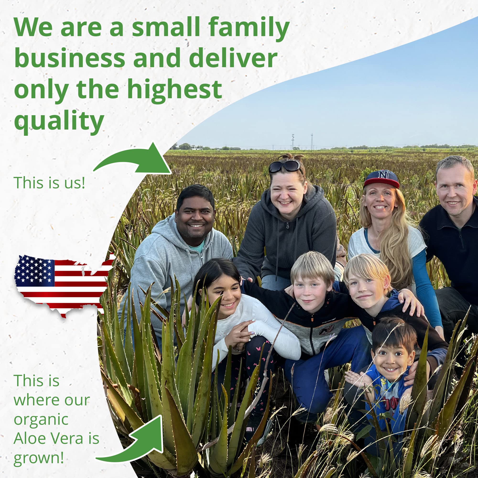 Seven Minerals aloe leaves cut-open show fresh, plant-based sourcing.