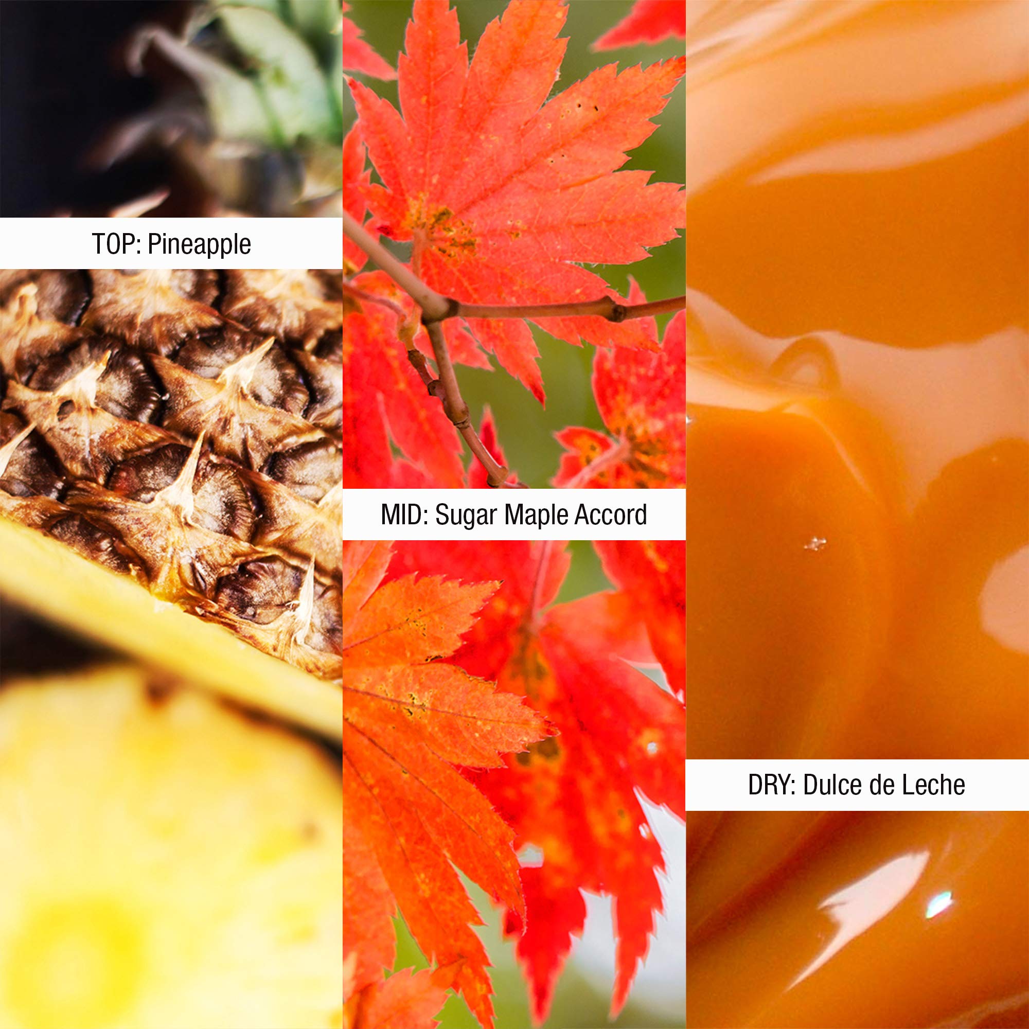 Shawn Mendes Signature EDP bottle cap, premium finishing for luxury feel.