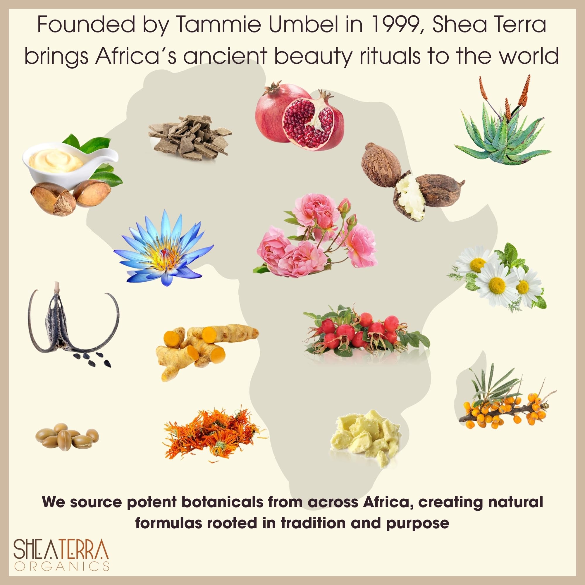 Shea Terra Egyptian Black Seed Oil closeup texture for dry skin relief.