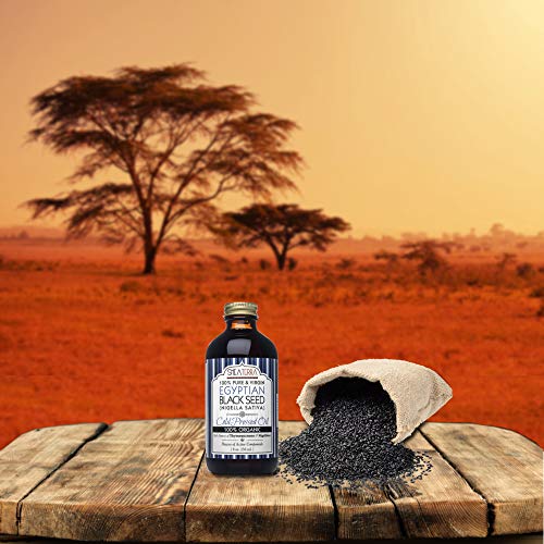 Shea Terra Egyptian Black Seed Oil ingredient panel shows versatile uses for skin, hair, and diet.