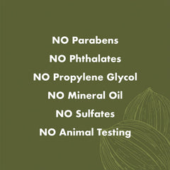 SheaMoisture Green Tea Extract jar close-up for antioxidant skin care