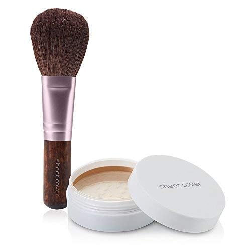 Sheer Cover mineral foundation brush included closeup for easy application