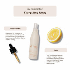 SHIBUI Everything Spray anti-frizz close-up reveals silky finish.