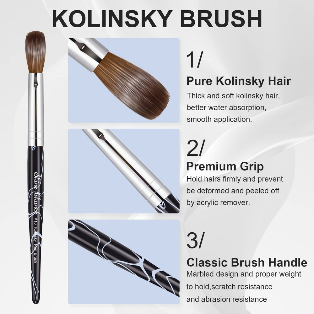Shine Chance brush storage case for travel shows a ready-to-use kit on the go.