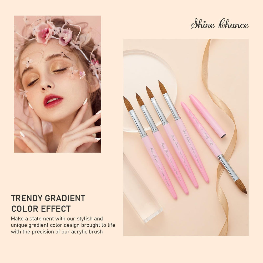 Pincel Shine Chance con garantía de reemplazo para confianza a largo plazo.