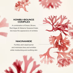 Shiseido Benefiance face application with five-point dots for daily anti-aging routine.