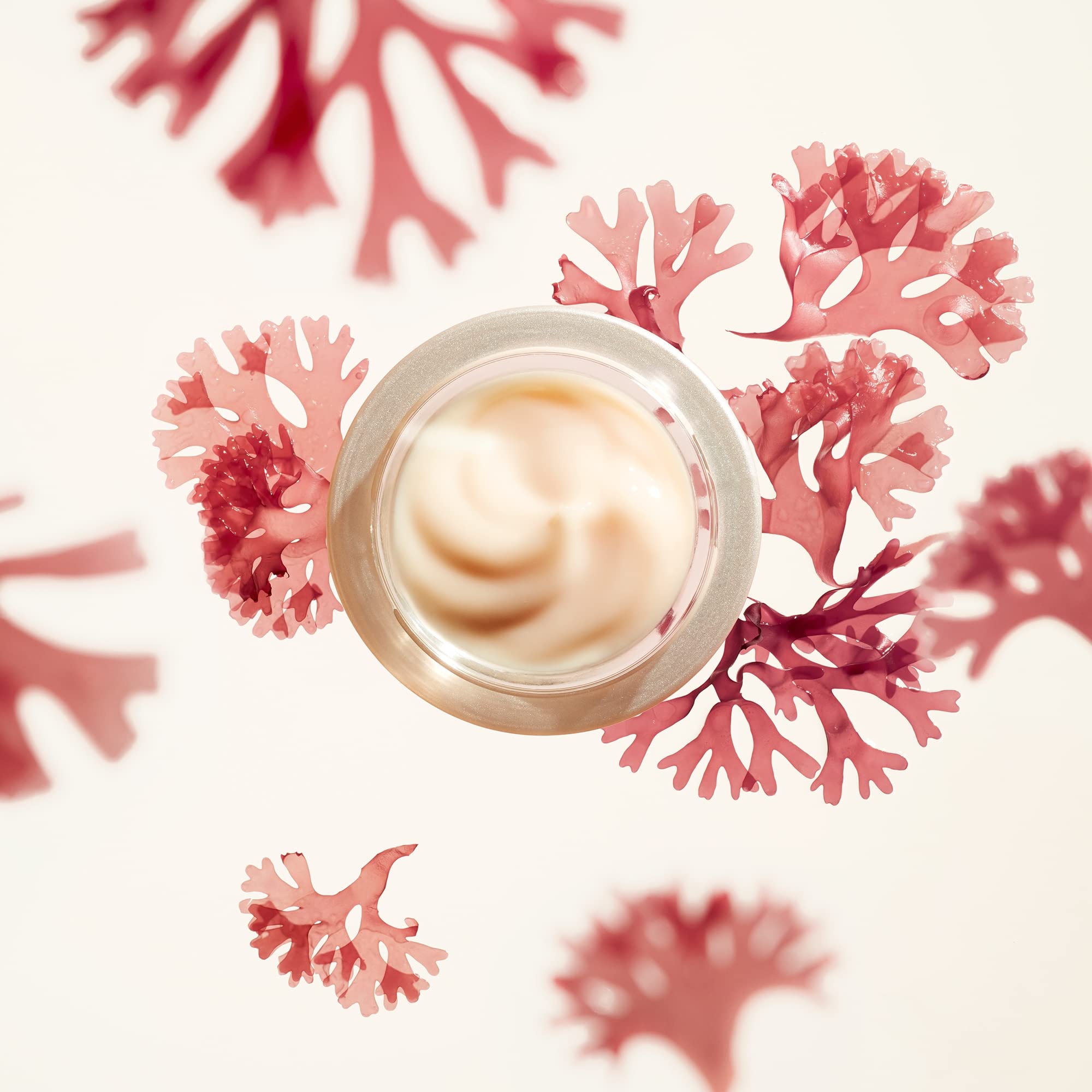Shiseido Benefiance turmeric extract close-up emphasizing soothing effects and elasticity support.