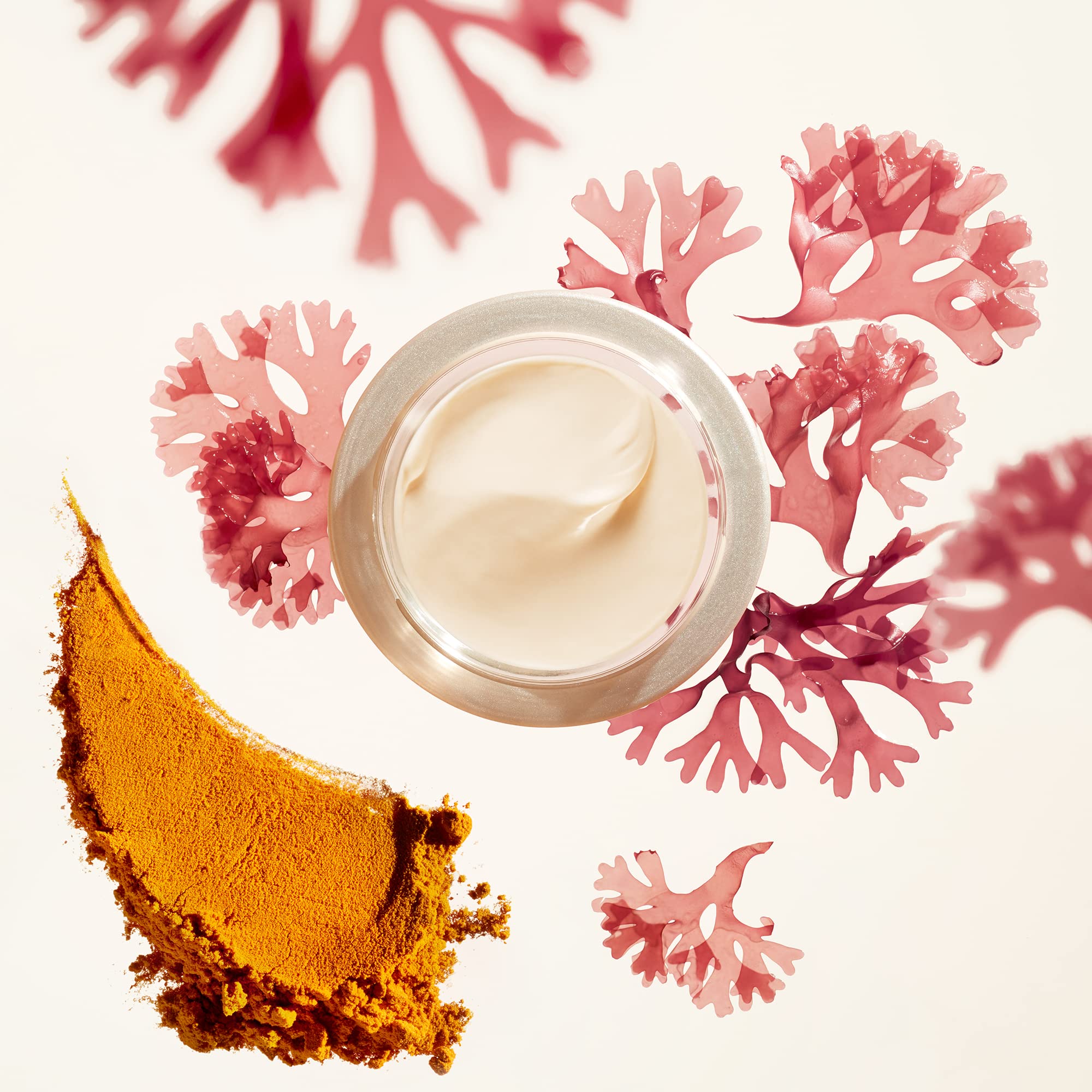 Shiseido Benefiance turmeric extract detail highlights elasticity support and soothing feel.