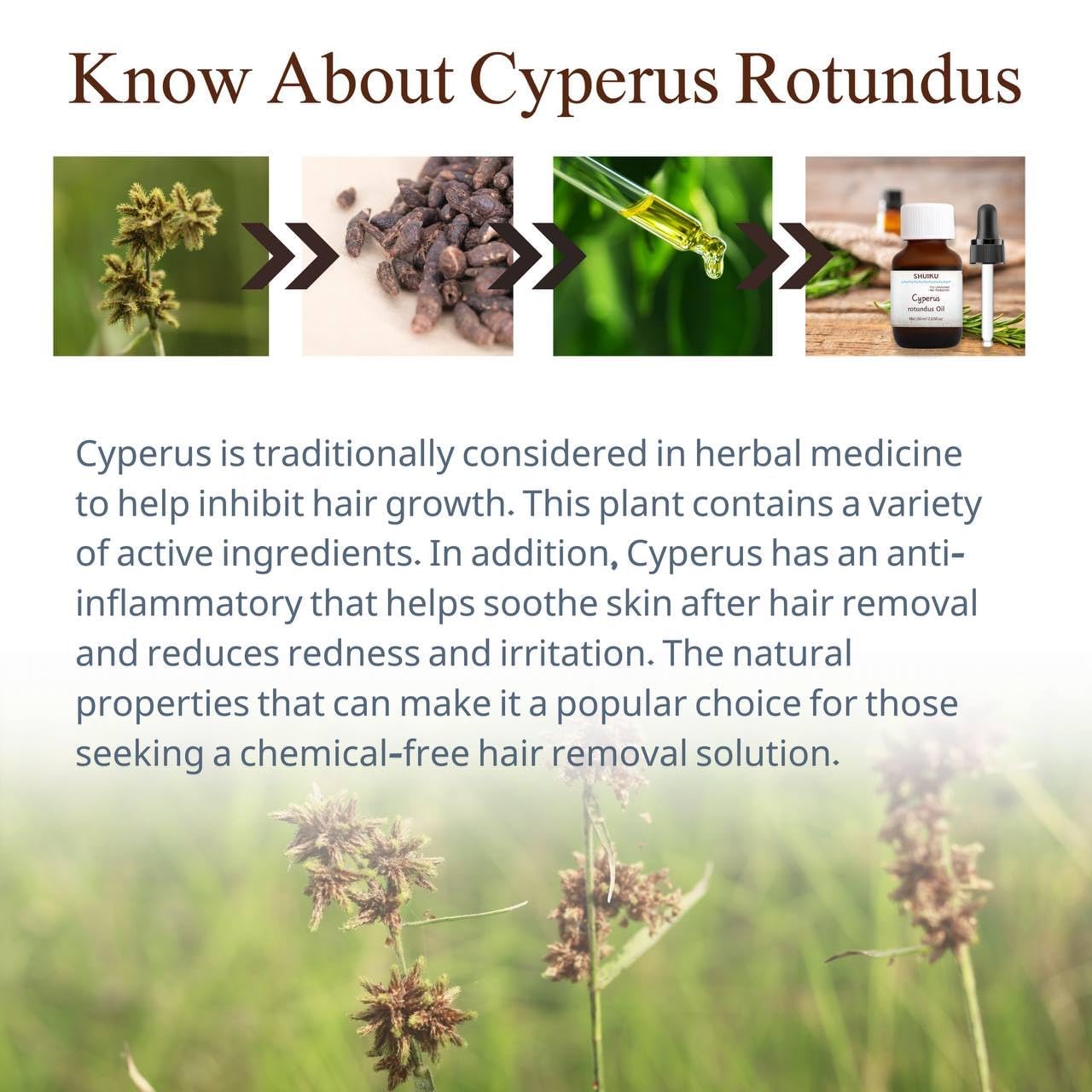 SHUIKU Cyperus Rotundus Oil closeup texture reveals natural amber tone.