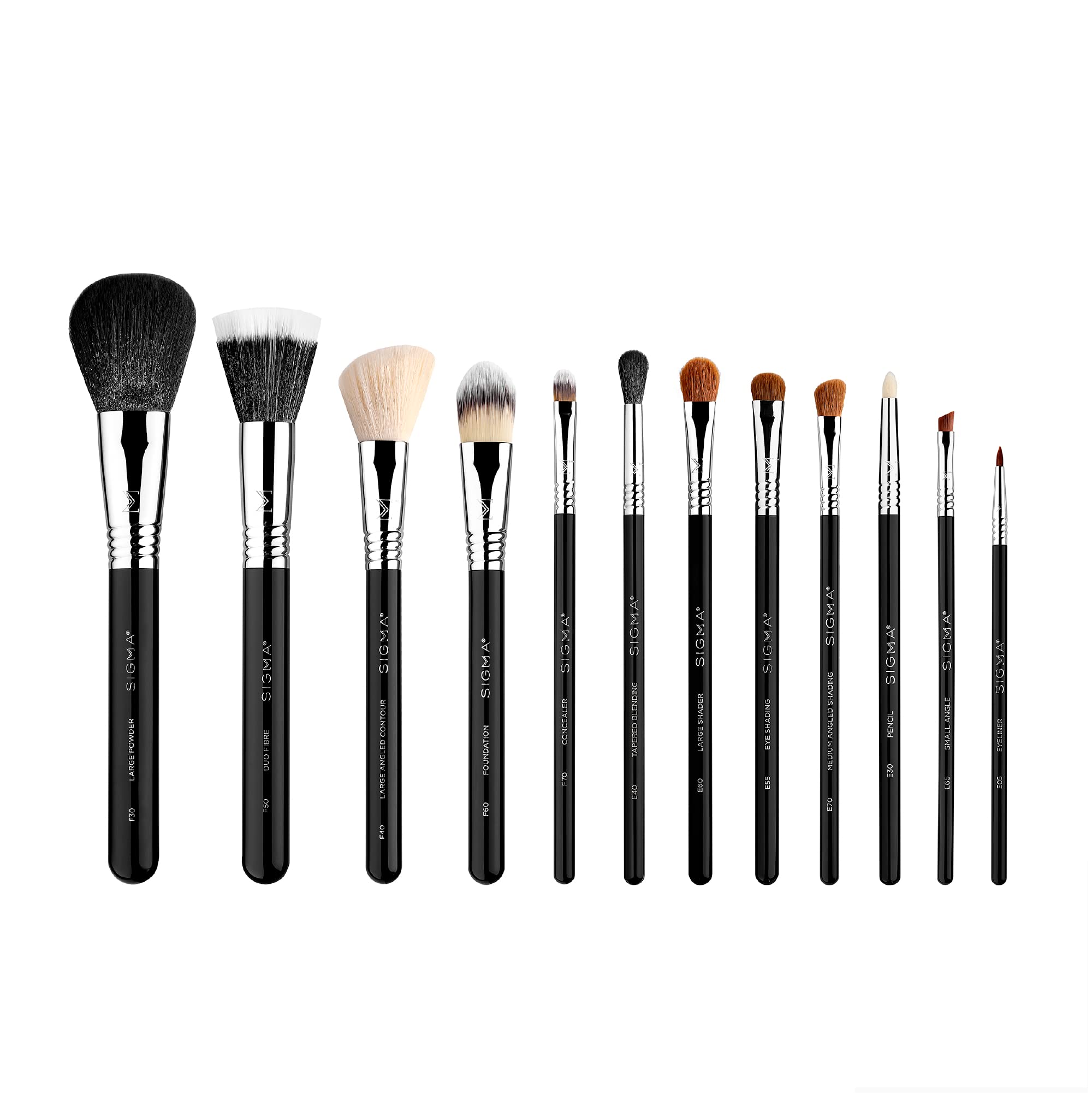 Sigma Beauty essential brush set with 12 brushes for precise face and eye makeup application.