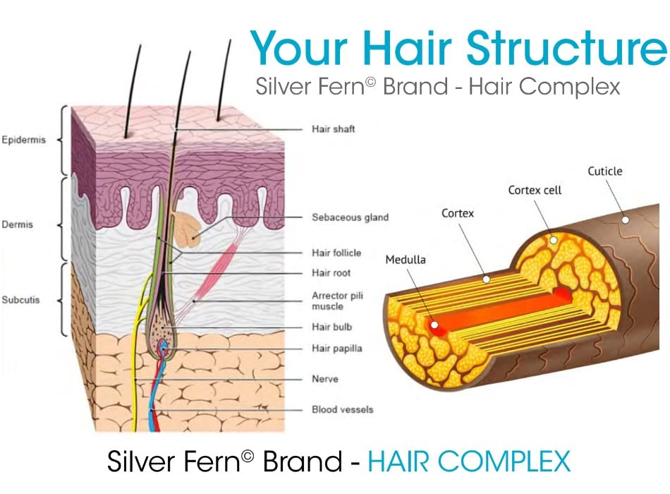 Silver Fern Keragen IV keratin ingredient closeup for follicle fortification.