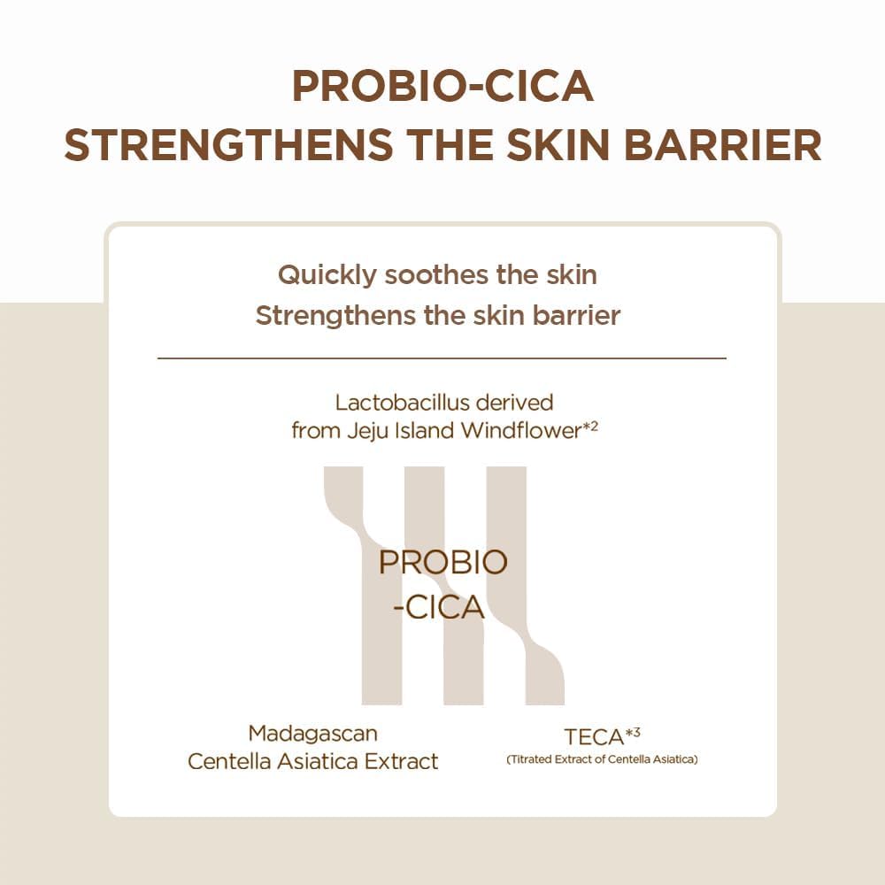 SKIN1004 Barrier strength illustration shows reinforced skin lipids and resilience