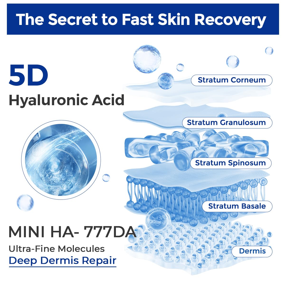 SKINERSE Intensive Repair Serum ingredients oat ceramides centella show soothing barrier support