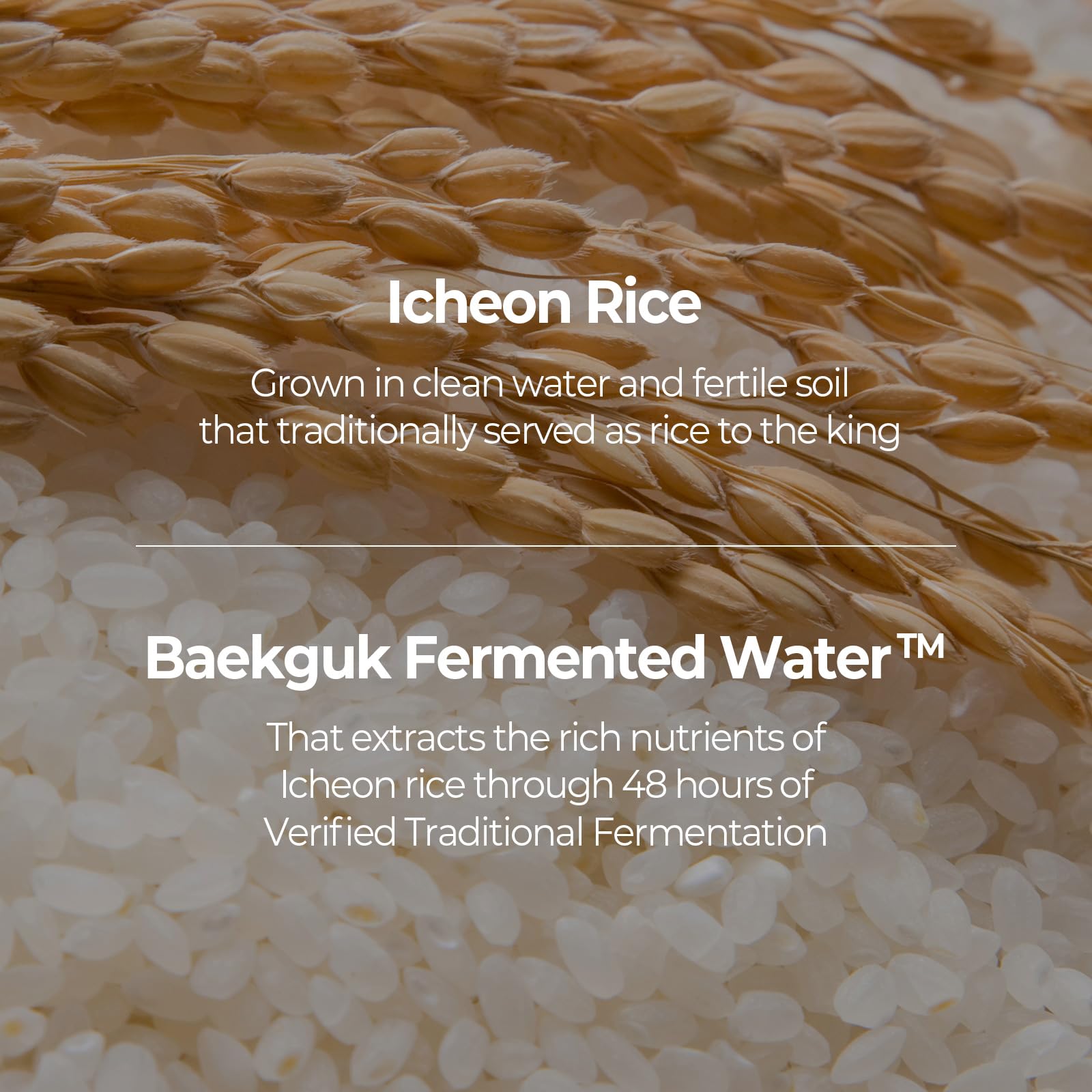 SKINFOOD 1957 rice ferment extract bottle, showcasing premium fermentation for skin nourishment