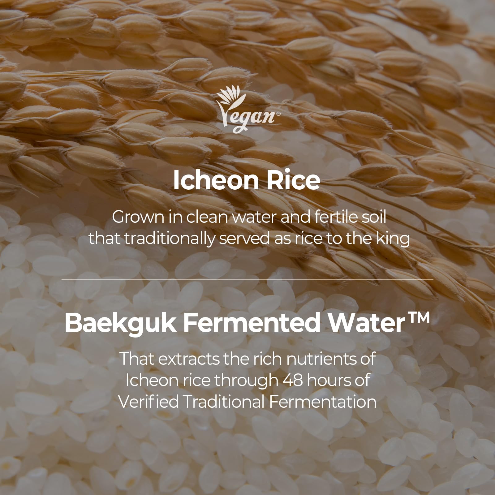 SKINFOOD 1957 Rice Toner bottle refines texture and provides refreshing hydration.