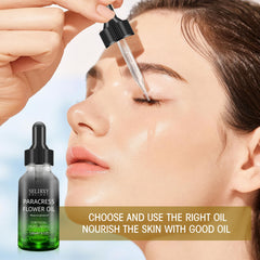 SKSOYT helichrysum oil flowers close-up for premium anti-aging nourishment